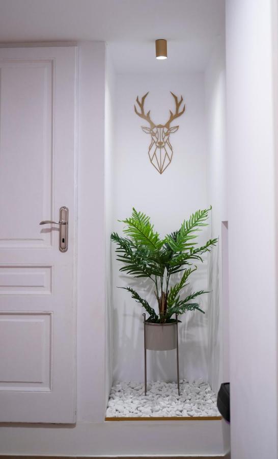 Coban Residence - A3 - Scandinavian Apartment Brasov Exterior photo